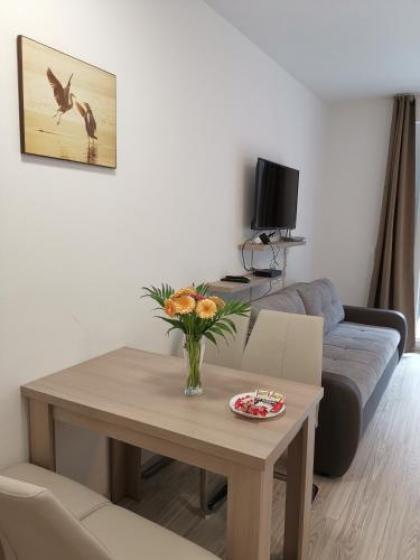 Corvin holiday Apartments hotel - image 12
