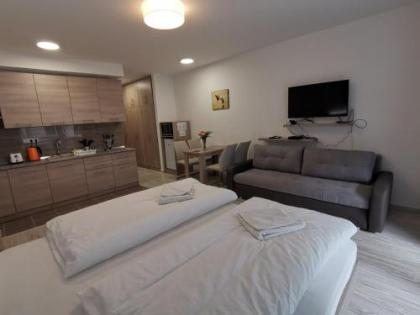 Corvin holiday Apartments hotel - image 8