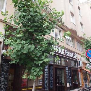 Guest houses in Budapest 