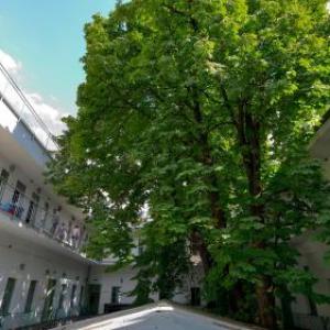 The Hive Party Hostel Budapest