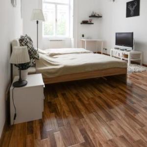 Spacious Evergreen Apartment in the heart of Budapest