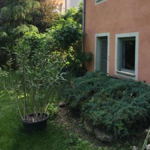 Budapest Garden Hostel