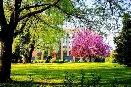 The Aquincum Hotel Budapest - image 4