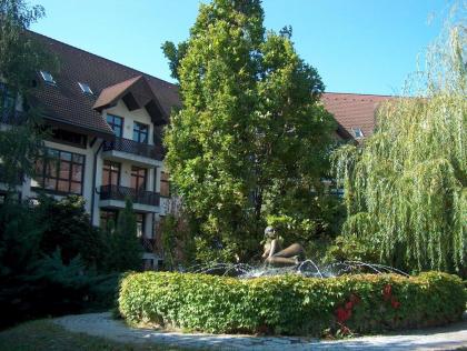 Rubin Wellness&Conference Hotel - image 9