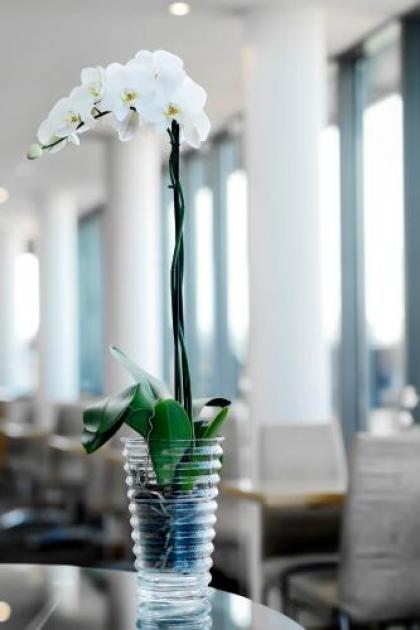 Westend Hotel Budapest - image 20