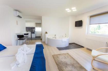 Classic Hotel - image 14