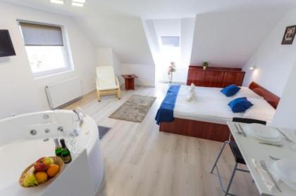 Classic Hotel - image 15