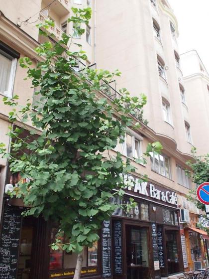 Budapest Suites - image 19