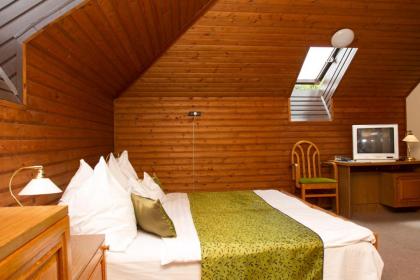 Hotel Molnár - image 12