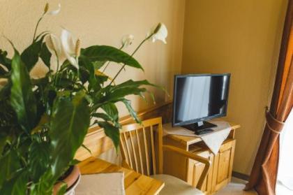 Hotel Karin - image 10