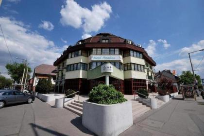 Hotel Amadeus - image 1