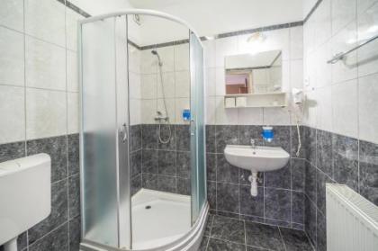 Silver Hotel Budapest City Center - image 20