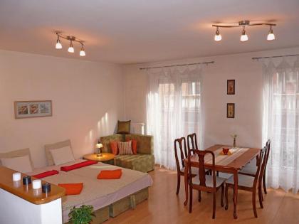 Raday Central Apartment - image 1