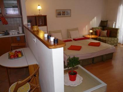 Raday Central Apartment - image 19