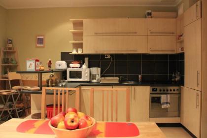 Raday Central Apartment - image 8