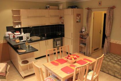 Raday Central Apartment - image 9