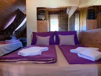 Sashalom Hotel - image 7