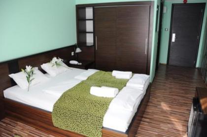 Green Hotel Budapest - image 20