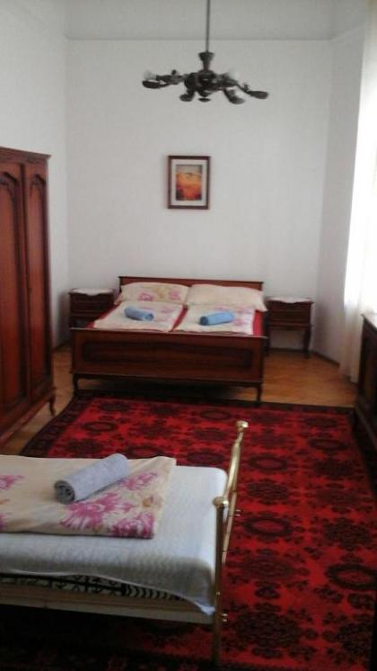 Central Apartments of Budapest - image 2