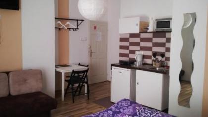 Downtown Apartments Budapest - image 11
