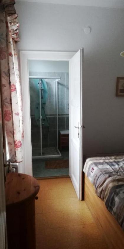 Ferienhaus in Budapest mit Garten - image 8