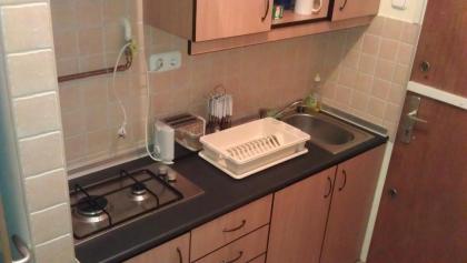 Budapest Flat Rent - image 15