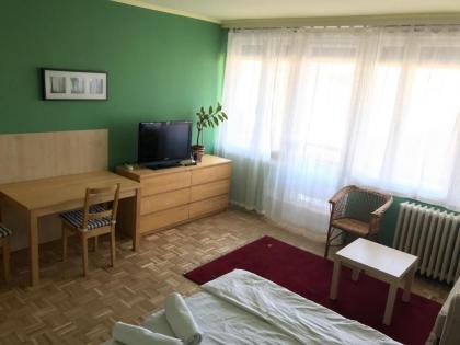 Budapest Flat Rent - image 4