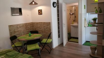 Apartment Patrícia with garden - image 10