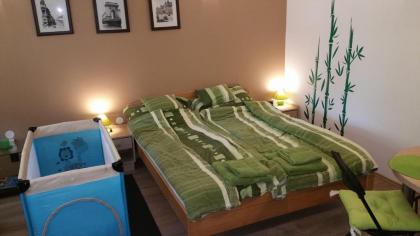 Apartment Patrícia with garden - image 12