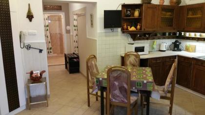 Apartment Patrícia with garden - image 17