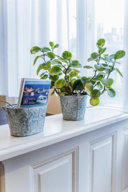 All In Apartman - image 3