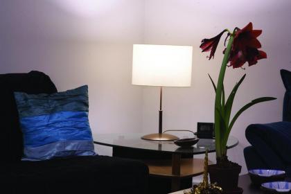 Judy and Sandor Apartmen - image 13