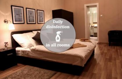 Budapest Ville Bed & Breakfast - image 2