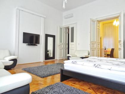 Erzsebet Boulevard Apartment - image 1