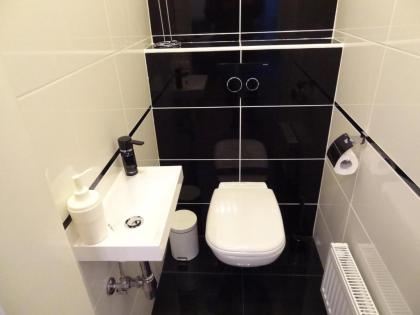 Erzsebet Boulevard Apartment - image 11