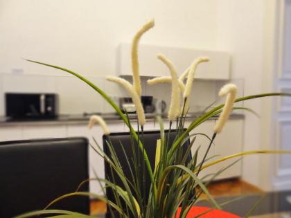 Erzsebet Boulevard Apartment - image 19