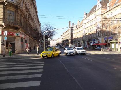Erzsebet Boulevard Apartment - image 5