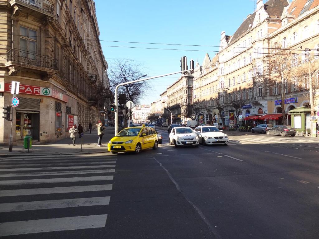Erzsebet Boulevard Apartment - image 5