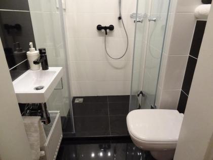 Erzsebet Boulevard Apartment - image 8
