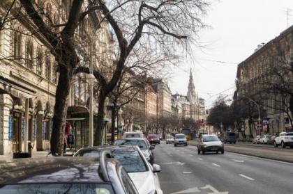 Authentic Grand Boulevard - image 16
