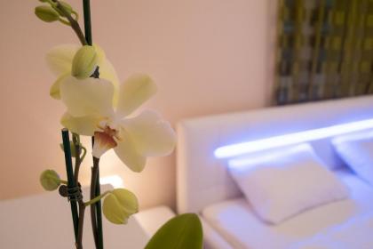 Anna Apartment - image 1