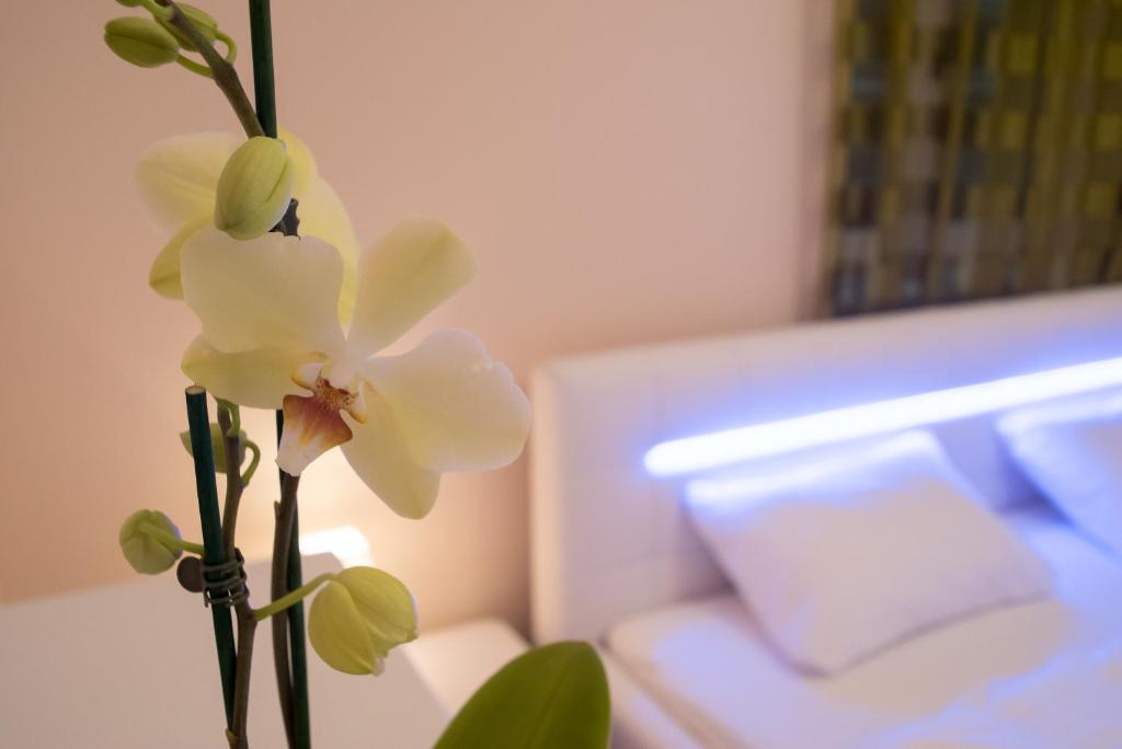Anna Apartment - main image