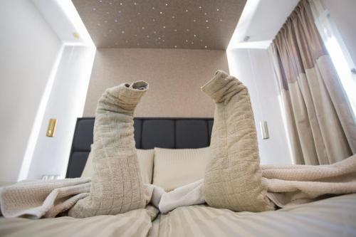 All Seasons Apartment - image 4