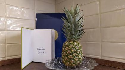 Julia's Home - image 5