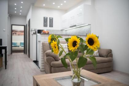 Gerda Apartment - image 14
