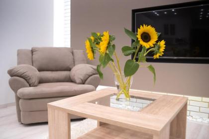 Gerda Apartment - image 15