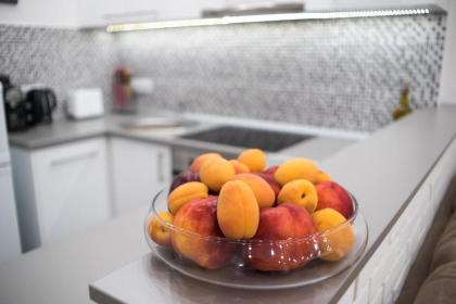 Gerda Apartment - image 5