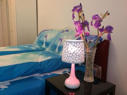 Írisz Apartman Budapest - image 1
