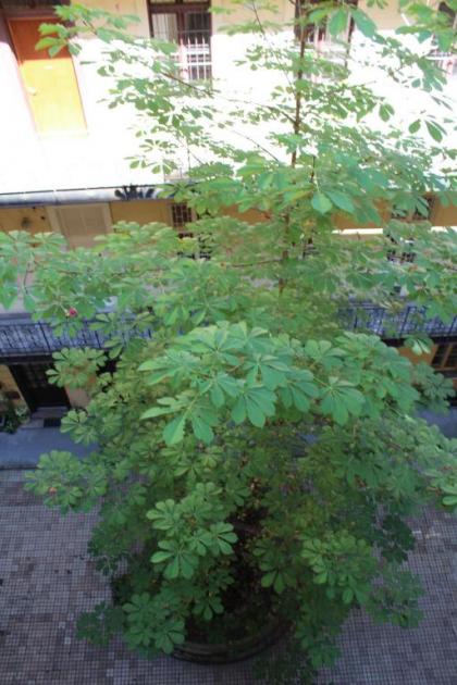 Kiona Apartment - image 18