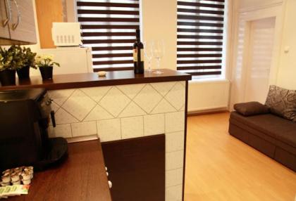 Brand New Apartment Budapest - image 14